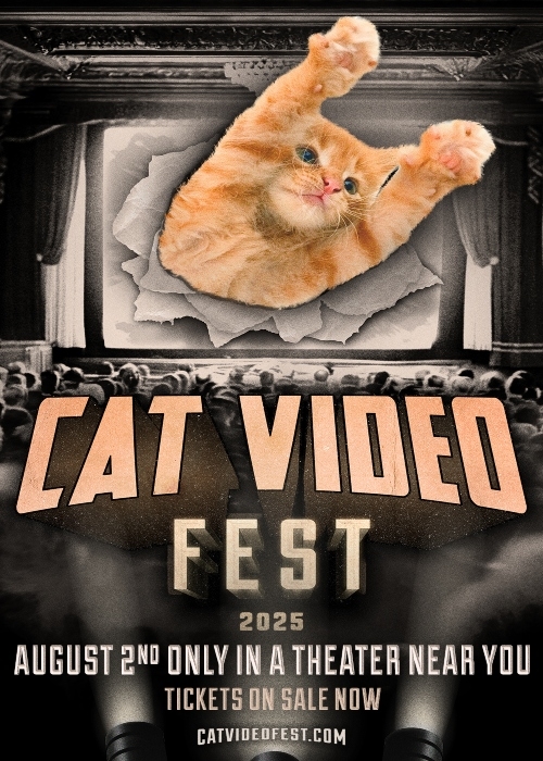 CATVIDEOFEST 2026 poster