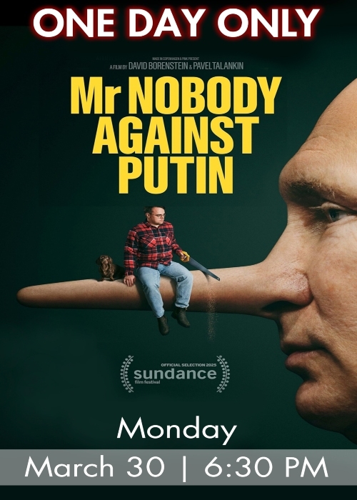 MR. NOBODY AGAINST PUTIN poster