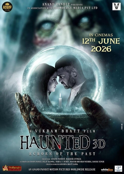 HAUNTED 3D: ECHOES OF THE PAST poster