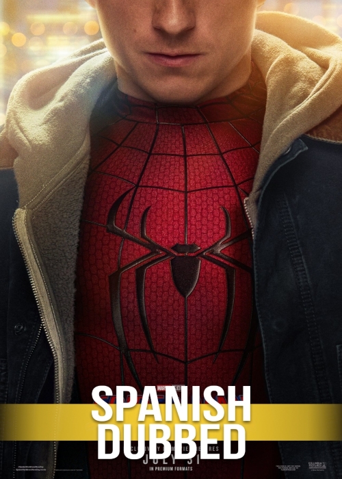 SPIDER-MAN: UN NUEVO DIA poster